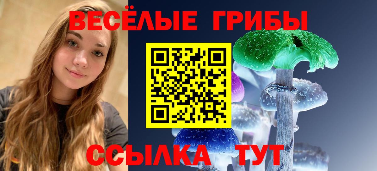 Псилоцибиновые грибы MAGIC MUSHROOMS Горячий Ключ